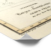 Geslachtsverdeling van katten poster (Hoek)