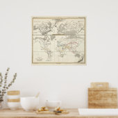 Geslachtsverdeling van katten poster (Keuken)