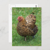 Gesloten Briefkaart (Voorkant / Achterkant)