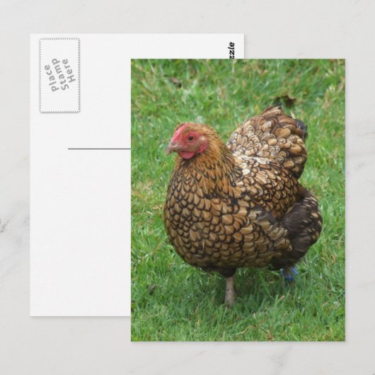 Gesloten Briefkaart (Voorkant / Achterkant)