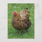 Gesloten Briefkaart (Voorkant)