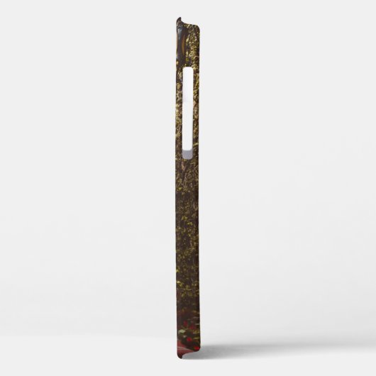 GESLOTEN BROWN WOODEN DEUR TIJDENS DAG Case-Mate iPhone CASE (Achterkant / Links)