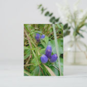 Gesloten Gentian-Briefkaart Briefkaart (Staand voorkant)