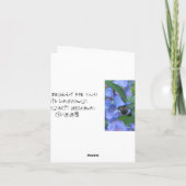 gesloten oogkat, ben ik zo zo zo droevige… kaart (Achterkant)