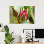 gesloten Rozen knop Poster (Thuiskantoor)