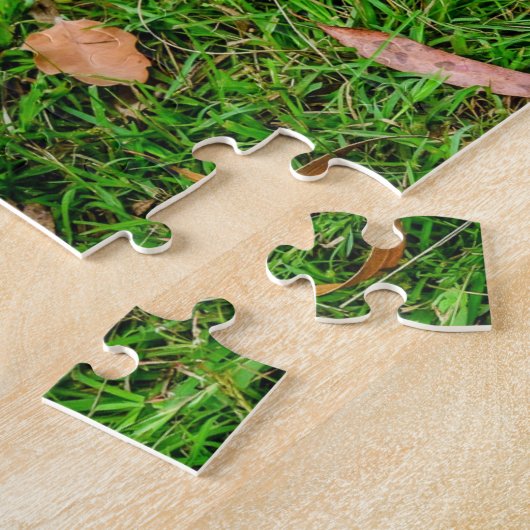 Gesloten Sussex Calico Chicken Hen Legpuzzel (Zijkant)