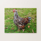 Gesloten Sussex Calico Chicken Hen Legpuzzel (Horizontaal)
