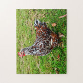 Gesloten Sussex Calico Chicken Hen Legpuzzel (Verticaal)