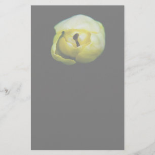 Gesloten tulp briefpapier