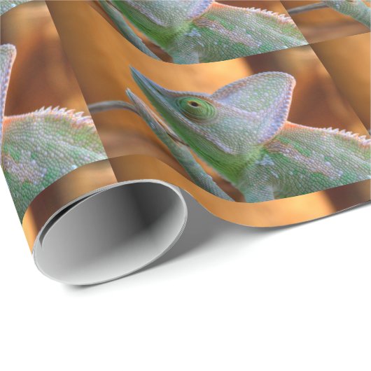 gesluierde kameleon cadeaupapier (Rol Hoek)