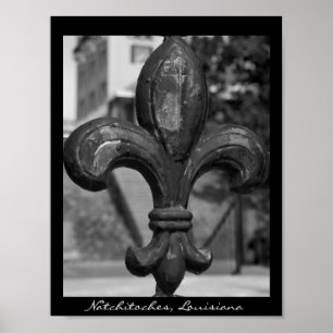 Gesmeed ijzeren Fleur de lis Natchitoches Poster