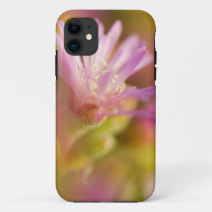 Gesmolten Afbeelding van een kleurrijke Succulente iPhone 11 Hoesje
