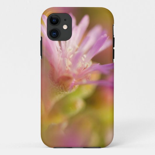 Gesmolten Afbeelding van een kleurrijke Succulente Case-Mate iPhone Case (Achterkant)