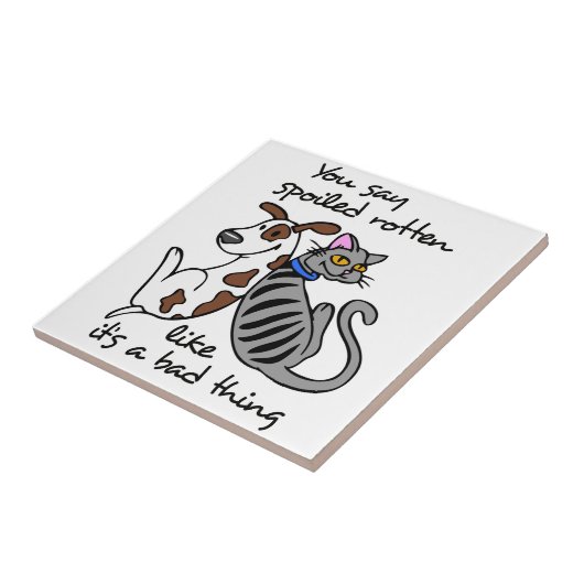 Gesmolten rotten tegeltje (Zijkant)