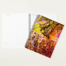 Gesmolten sereniteit 2