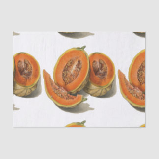 Gesneden cantaloupe meloen illustratie tissuepapier