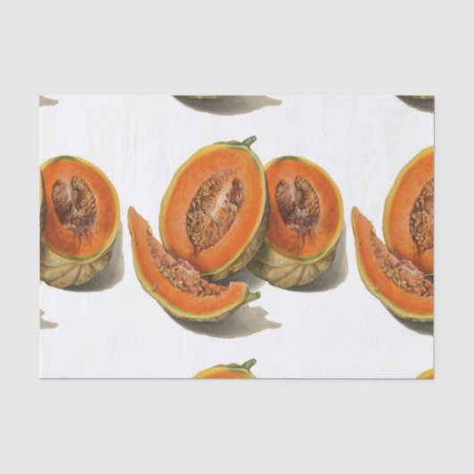 Gesneden cantaloupe meloen illustratie tissuepapier (Voorkant)