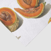 Gesneden cantaloupe meloen illustratie tissuepapier (Detail)