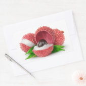 Gesneden lycheevruchten rechthoekige sticker (Envelop)