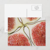 Gesneden vijgen, close-up briefkaart (Voorkant / Achterkant)