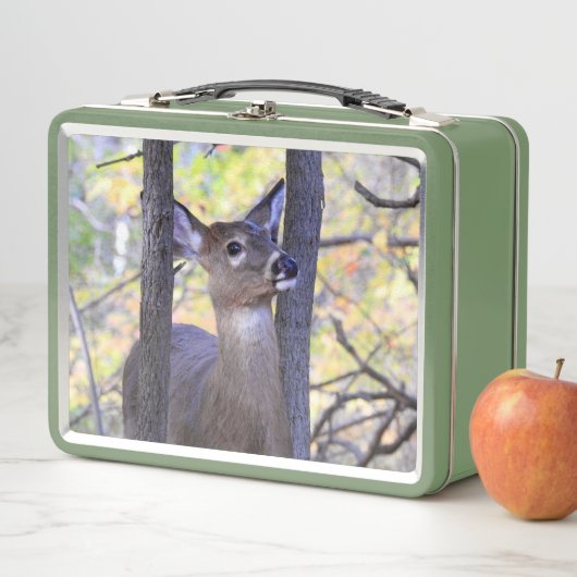 Gesneden witte staart herten close-up (In situ)