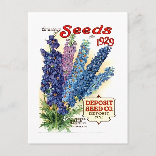  gesorteerd Delphiniums Seed Packet Briefkaart (Voorkant)