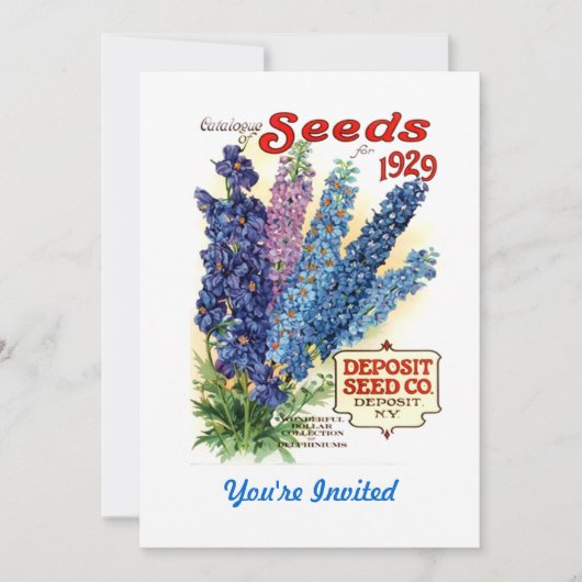  gesorteerd Delphiniums Seed Packet Kaart (Voorkant)