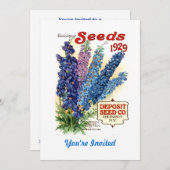  gesorteerd Delphiniums Seed Packet Kaart (Voorkant / Achterkant)