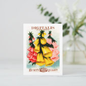 Gesorteerd Digitalis Foxglove Seed Packet Briefkaart (Staand voorkant)