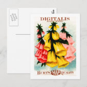 Gesorteerd Digitalis Foxglove Seed Packet Briefkaart (Voorkant / Achterkant)