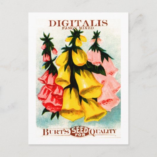 Gesorteerd Digitalis Foxglove Seed Packet Briefkaart (Voorkant)