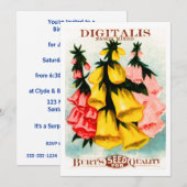 Gesorteerd Digitalis Foxglove Seed Packet Kaart (Voorkant / Achterkant)