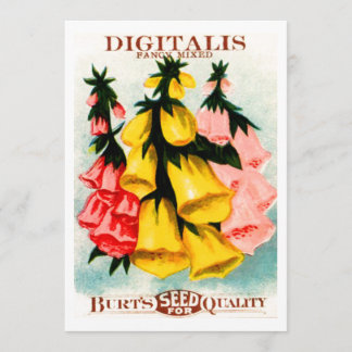Gesorteerd Digitalis Foxglove Seed Packet Kaart