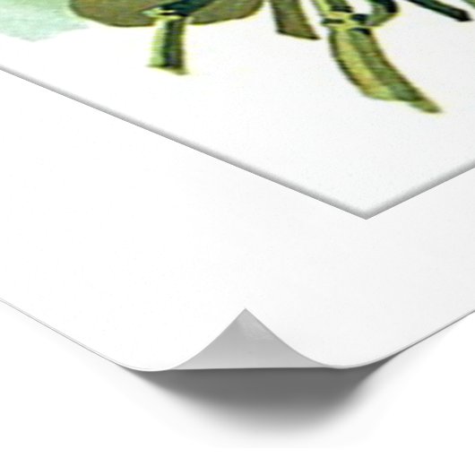 gesorteerd pakket van bloemen poster (Hoek)