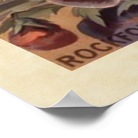  gesorteerd pakket van gepantserde zaden poster (Hoek)