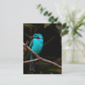 Gespangde katoenvis briefkaart (Staand voorkant)