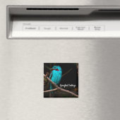 Gespangde katoenvis magneet (Insitu (Vaatwasser))