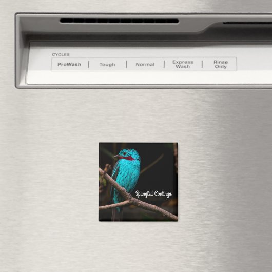 Gespangde katoenvis magneet (Insitu (Vaatwasser))