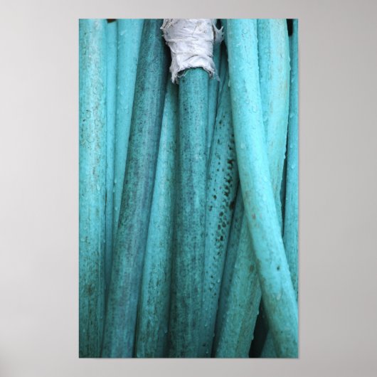 Gespannde slang poster (Voorkant)