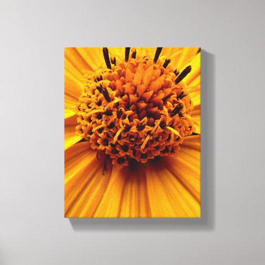 Gespannen canvasprint canvas afdruk (Voorkant)