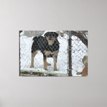 Gespannen canvasprint hond achter hek