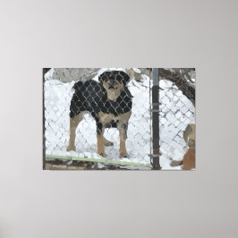 Gespannen canvasprint hond achter hek canvas afdruk