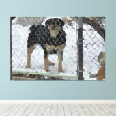 Gespannen canvasprint hond achter hek canvas afdruk (Insitu (Houten vloer))