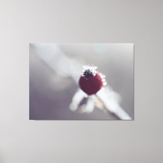Gespannen Canvasprint - Winterbes Canvas Afdruk (Voorkant)