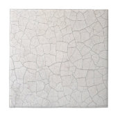 Gespantserd oppervlak tegeltje (Voorkant)