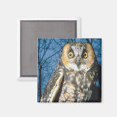 Gespecialiseerd Magneet (Voorkant / Achterkant)