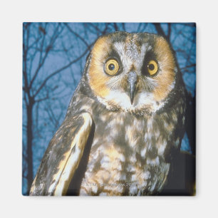 Gespecialiseerd Magneet