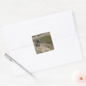 Gespecialiseerde klimmen naar beneden vierkante sticker (Envelop)