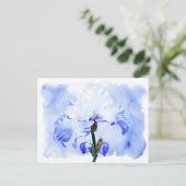 Gespecificeerde iris - blauw en wit briefkaart (Staand voorkant)