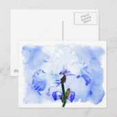 Gespecificeerde iris - blauw en wit briefkaart (Voorkant / Achterkant)